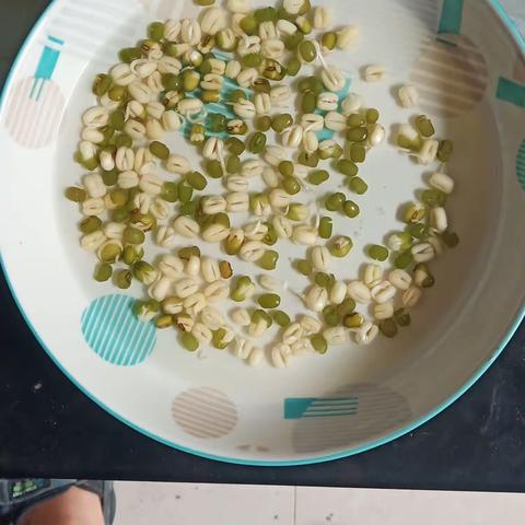 神奇的绿豆变化