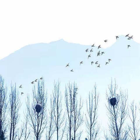 卢氏县摄影家协会摄友作品展（第七十二期）