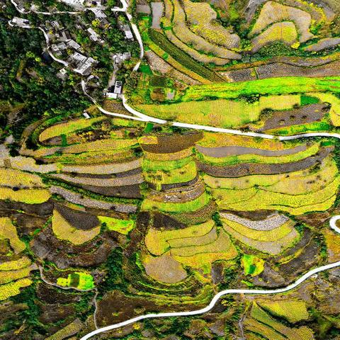 卢氏摄协《河洛摄苑》会员作品展（第十五期）