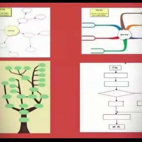 用思维导图，创新数学实践