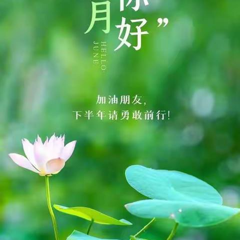 不忘初心，不负韶华----齐海中心校举办全国基础教育质量评价改革培训班