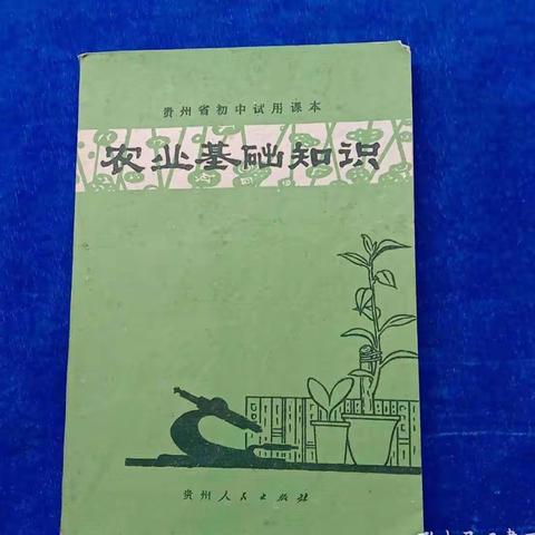 一段有关“农基课”的记忆