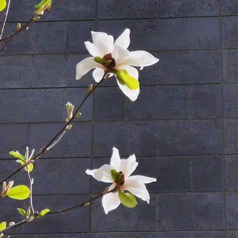 京城文房四宝第一街