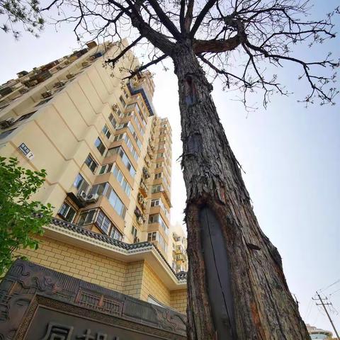 又见荣宝斋（2021.4.16琉璃厂西街）