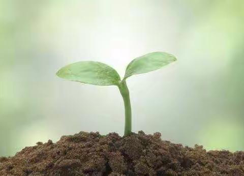 坚守教育阵地  倾心线上教学  ——中加友谊小学二年级5班“停课不停学”活动