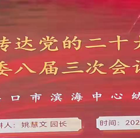 礼敬二十大，共赴新征程                                               ——海口市滨海中心幼儿园