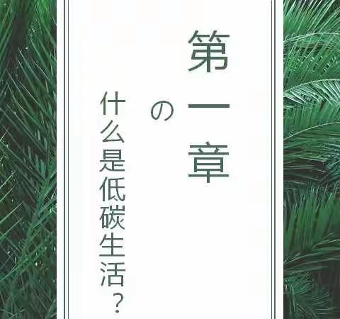 灵丘二中382班“倡导低碳生活”综合性学习活动