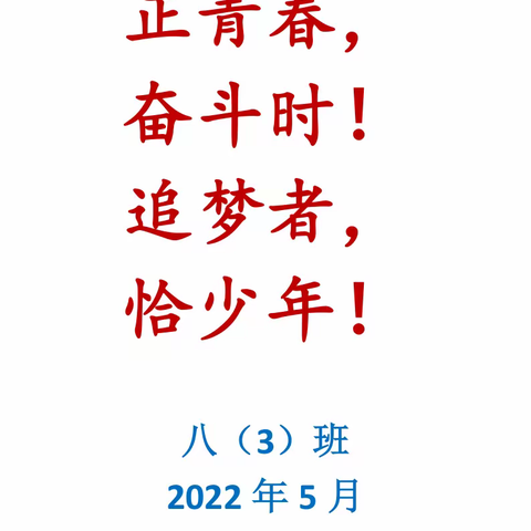 十四岁，致敬我们的青春——八（3）班电子相册