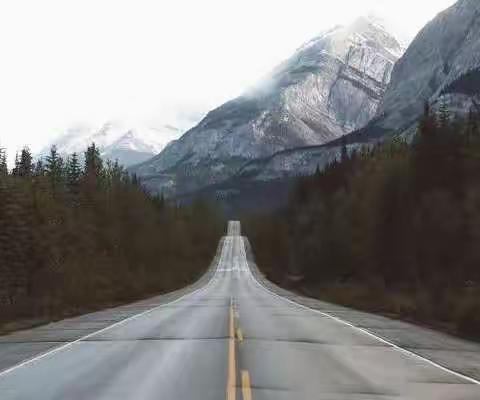 放下执着，获得无限自由