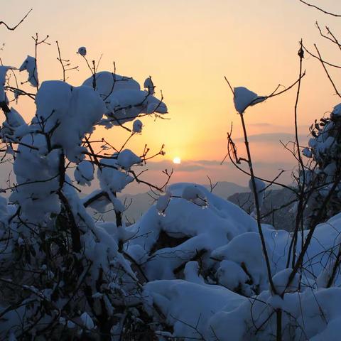 20160123龙井踏雪_1