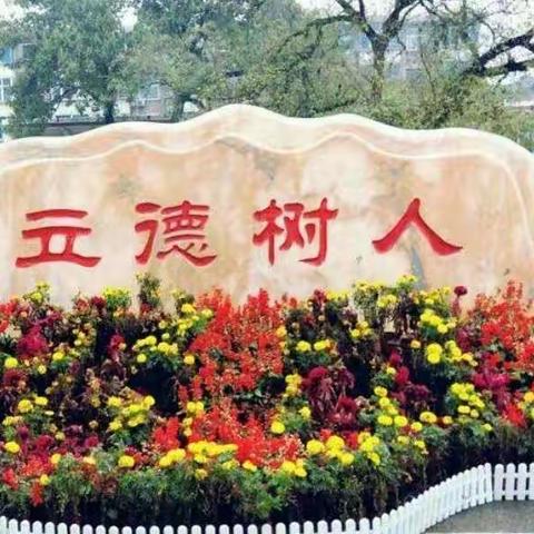 停课不停学，成长不延期－实验小学五四中队