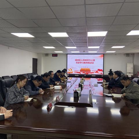 湖滨区政府办召开党史学习教育推进会