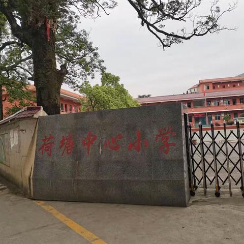 线上教研耕耘忙 促进教学共成长——荷塘乡中心小学四月线上教研活动总结