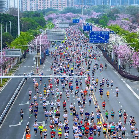 2023-4-9万人跑马观紫荊，一粉一花一座城