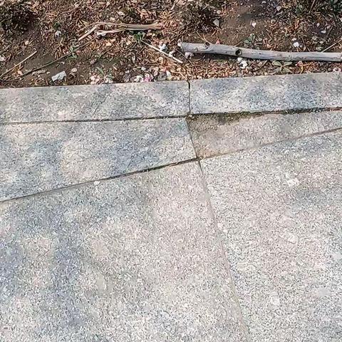 卢龙青龙河森林公园的春天真美好