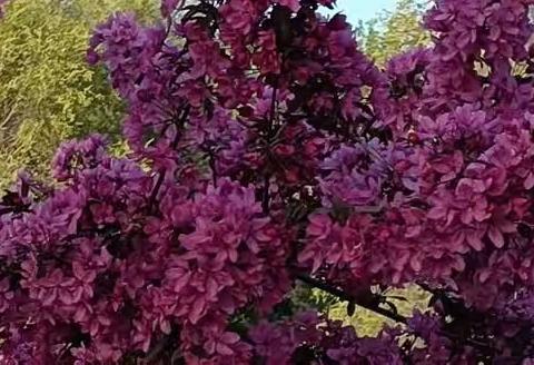 针针情思————散文