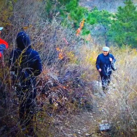 我的一个非同一般嗜好