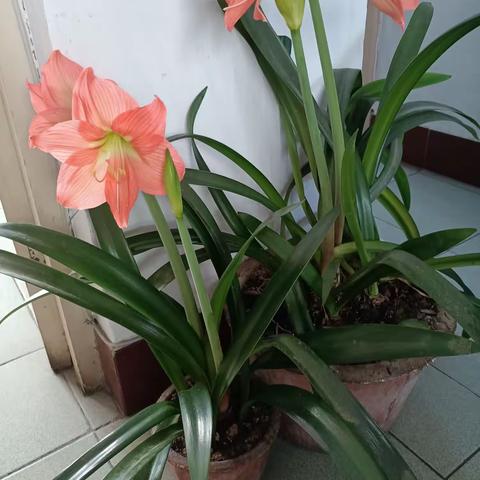 梦中“灵感”——闪烁着灿烂“光芒”