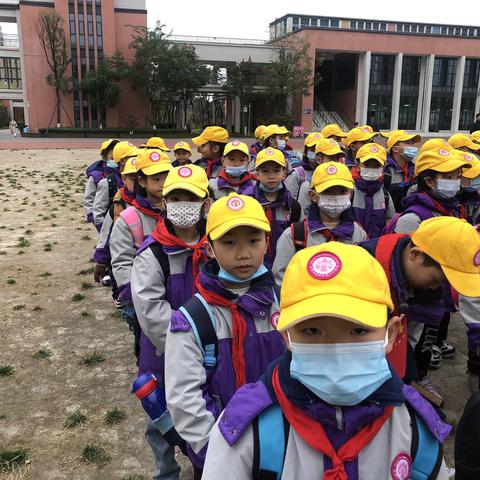 小树苗“安全”出游记