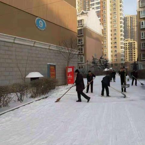 大雪如约而至，社区扫雪暖人心