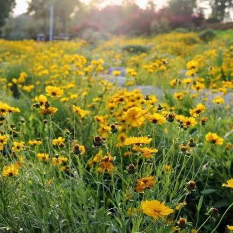 唐县信誉楼三楼贝坤轩柜组有售
