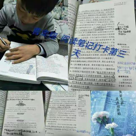 阅读，打开视界的门――仁厚里小学四四班寒假亲子阅读