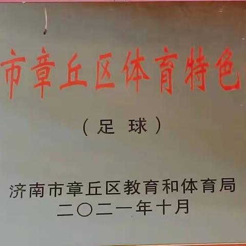 足球开启梦想，绿茵放飞希望——圣井中心幼儿园首届足球联赛颁奖仪式