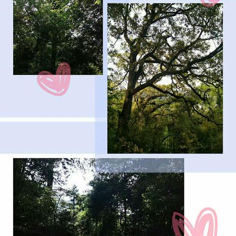 时不我待、只争朝夕，携手村民焕新颜。