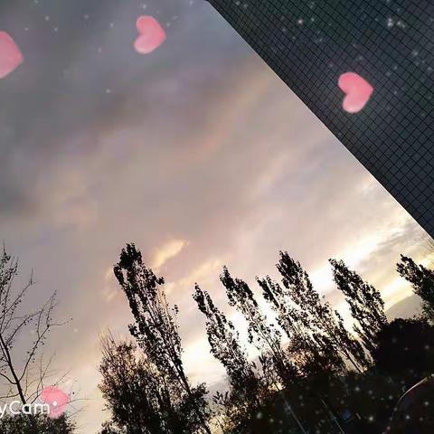 心如柠檬天然酸🍃的美篇