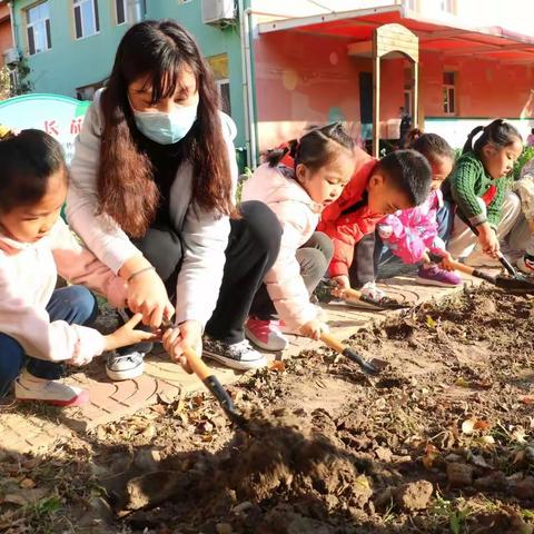 播种希望，收获成长——垦利区胜兴幼儿园种植小麦劳动教育活动