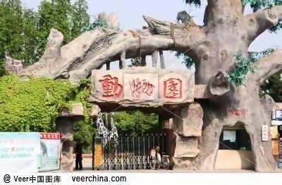 新星幼儿园小六班19年秋游