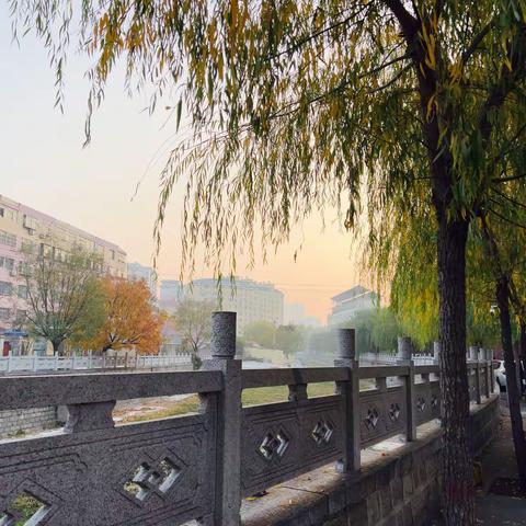 用心护学 为爱站岗————泰师附校19级4班爱心导护纪实