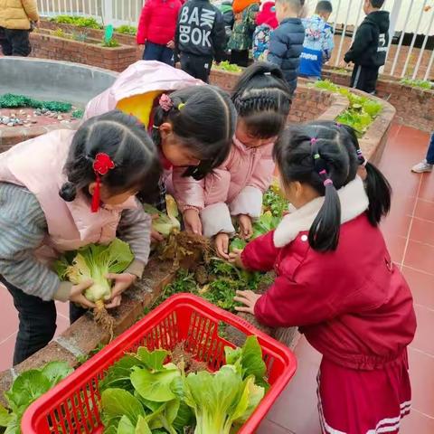 “幼”见开学季.东梅幼儿园大四班“开学第一周•成长一大步”