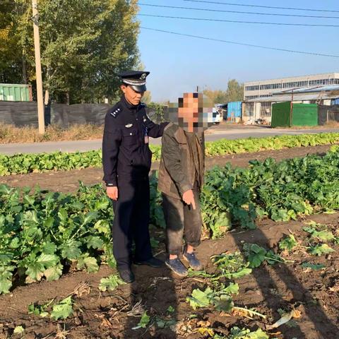 现实版“老汉偷菜”，民辅警“瓮中捉鳖”