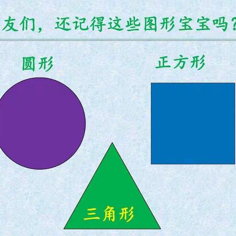 大班数学《两层分类》