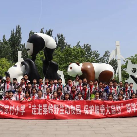 【碑林教育】“走进野生动物园，探索神奇大自然”——何家村小学秦岭野生动物园社会实践活动