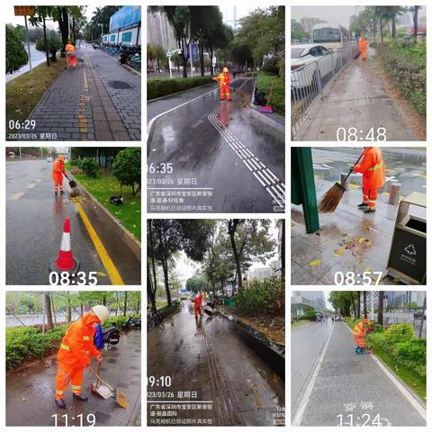 2023年3月26日中心区保洁管理中心日常工作日志