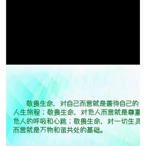 敬畏生命，珍爱生命