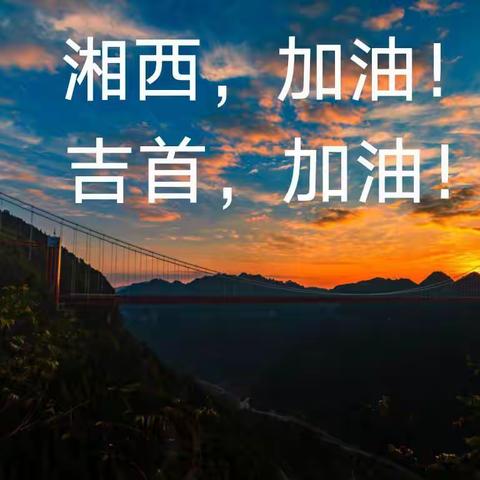 志愿抗疫  星夜兼程——记吉首市第五小学抗疫志愿行