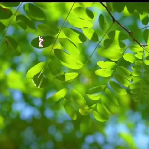 读最有爱的绘本 做最智慧的家庭 江城家长慧“慧阅读”第五场
