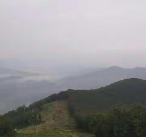 端午节雨中登青山