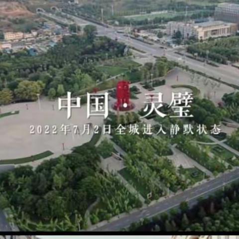 童心抗“疫”，“疫”起坚守 —灵城南李小学少先队员防疫在行动