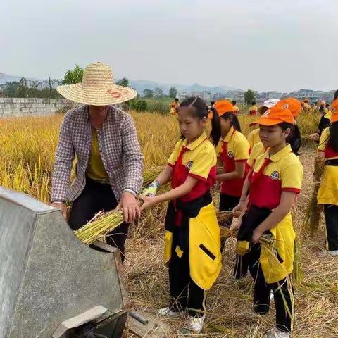 来之不易的粮食