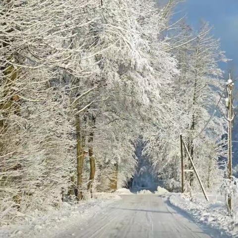 我的情结，大兴安岭的雪