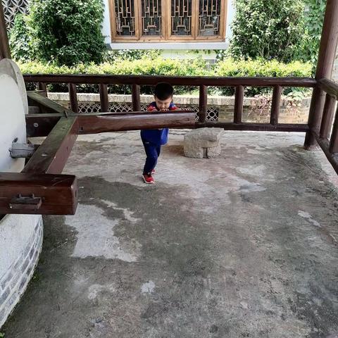 轩宝一家的第五个六一