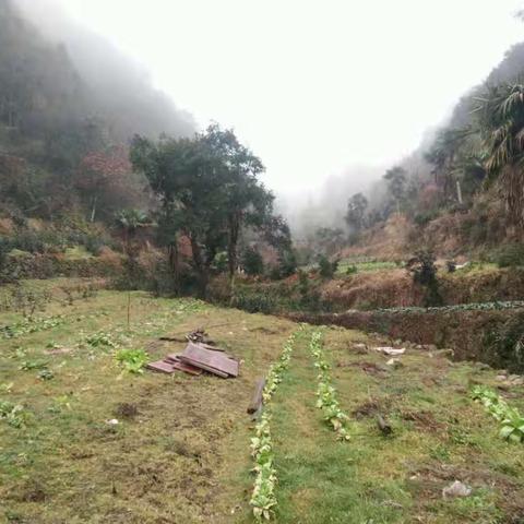 初三磐安行：团圆与欢行