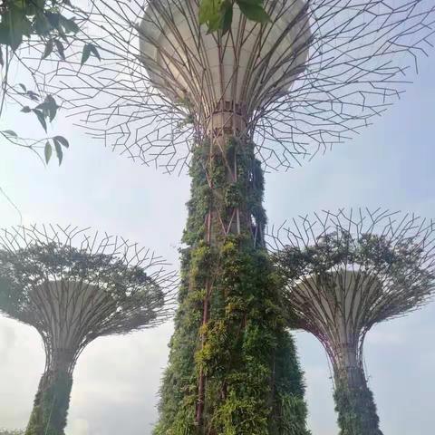 新加坡滨海堤坝与滨海南花园