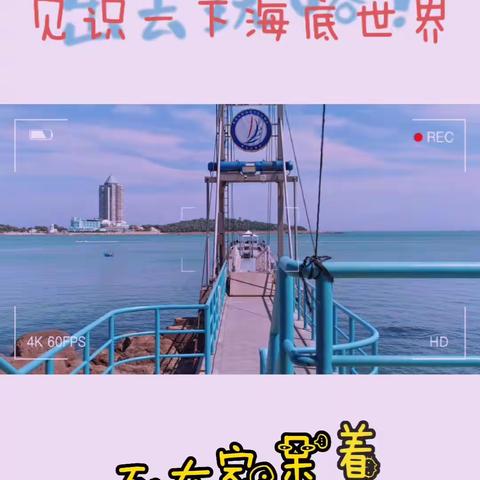 “夏”定决心，“暑”你精彩