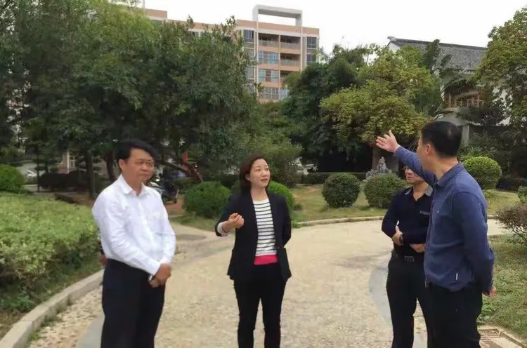 池小玲一行针对汕头市第一轮督查中反馈的我镇存在问题,对标市创文