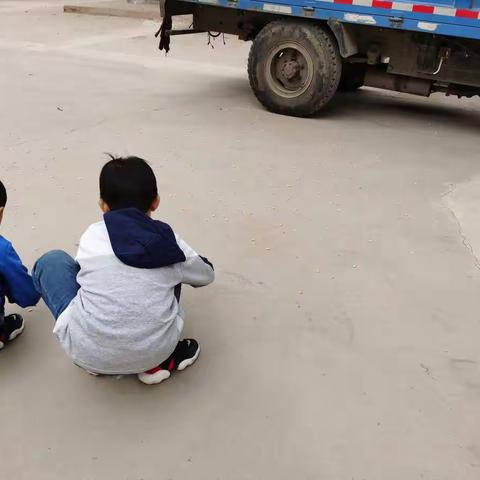 每一粒粮食都不能浪费